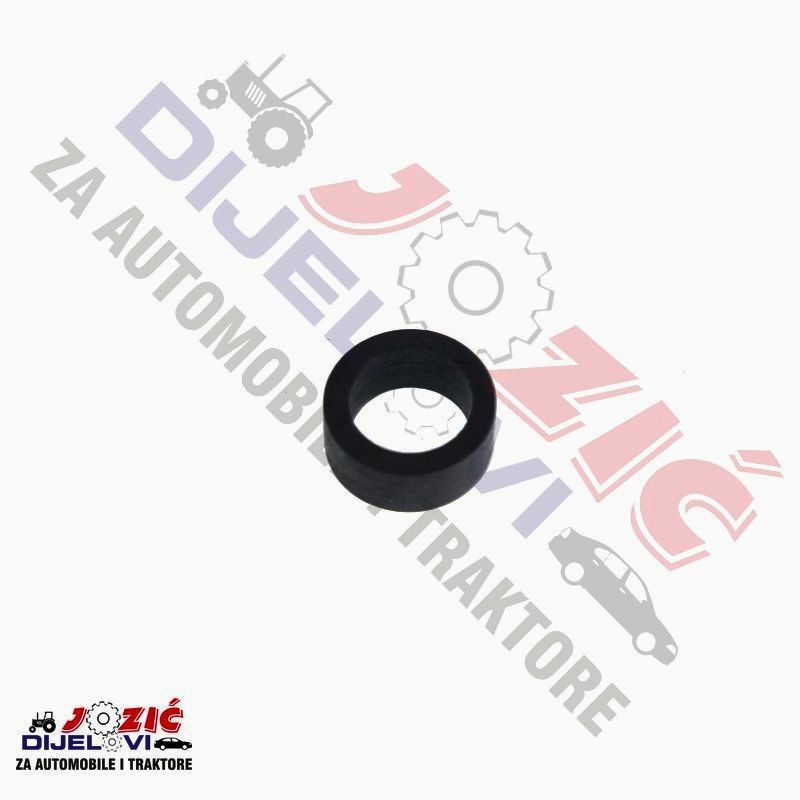 Daisy on the Ohoopee